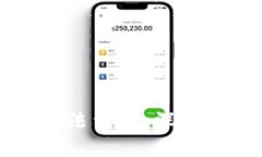 tpWallet的阿尔法量化：深度解析与策略指导