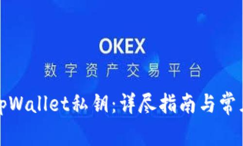 如何找回tpWallet私钥：详尽指南与常见问题解答