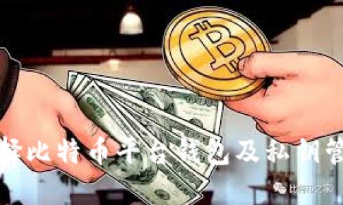 如何选择比特币平台钱包及私钥管理技巧