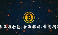 tpWallet转账正在打包：全面解析、常见问题及解决