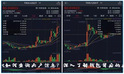 tpWallet如何查询大户信息? 深入了解钱包背后的大户动态
