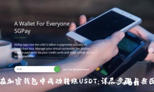 :
如何在加密钱包中成功转账USDT：详尽步骤与截图示例