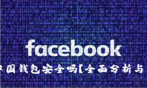 比特币中国钱包安全吗？全面分析与用户指南