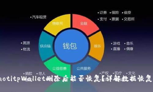 bianotitpWallet删除后能否恢复？详解数据恢复方法
