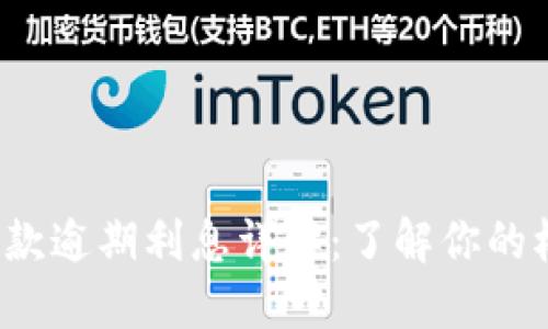  OP钱包借款逾期利息详解：了解你的权益与义务