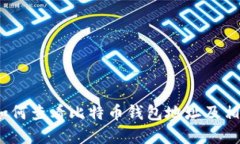 详细解读：如何查看比特