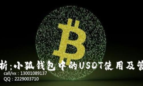 全面解析：小狐钱包中的USDT使用及管理指南