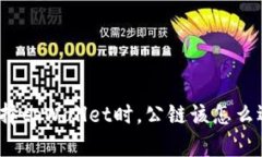 选择tpWallet时，公链该怎么选？