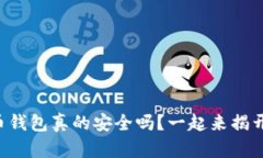 比特币钱包真的安全吗？一起来揭开真相！