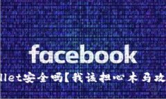 tpWallet安全吗？我该担心木马攻击吗？