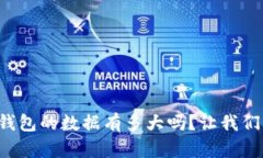 想知道比特币钱包的数据有多大吗？让我们深入