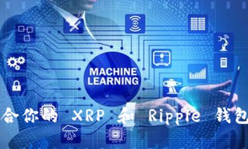 如何选择最适合你的 XRP 和 Ripple 钱包？让我们聊聊！