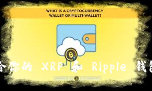 如何选择最适合你的 XRP 和 Ripple 钱包？让我们聊聊！