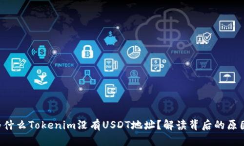 为什么Tokenim没有USDT地址？解读背后的原因！