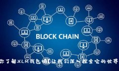 你了解XLM钱包吗？让我们深入探索它的世界！
