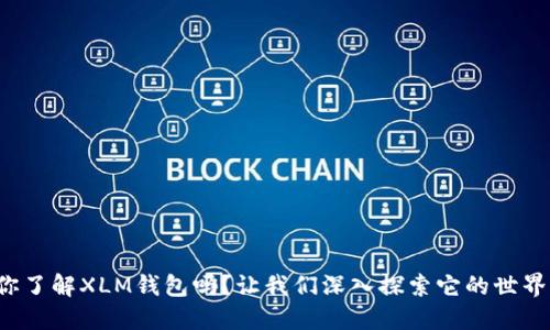 你了解XLM钱包吗？让我们深入探索它的世界！