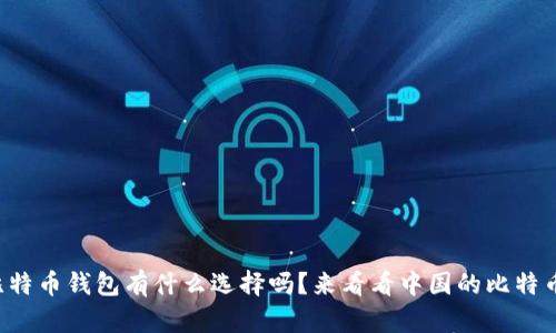 你知道比特币钱包有什么选择吗？来看看中国的比特币钱包吧！