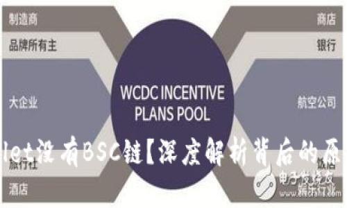 为什么tpWallet没有BSC链？深度解析背后的原因与解决方案