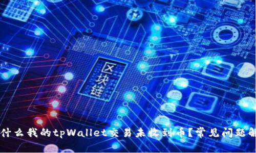 为什么我的tpWallet交易未收到币？常见问题解析