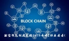 波宝钱包到底支持SHIB币吗？快来看看！