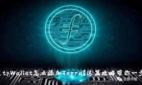 想知道tpWallet怎么添加Terra？这篇攻略带你一步步来！