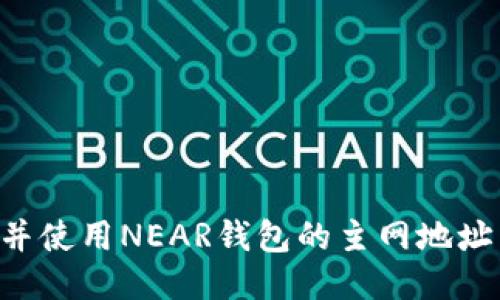 如何找到并使用NEAR钱包的主网地址：全面指南