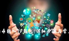 如何将Bee币转入TP钱包：详细步骤与常见问题解答