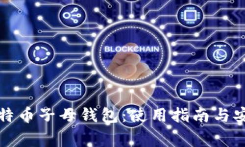 全面解析比特币子母钱包：使用指南与安全注意事项