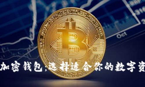 分类型剖析加密钱包：选择适合你的数字资产存储方案