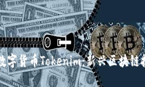 深入了解数字货币Tokenim：新兴区块链技术的未来