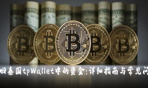 如何退回泰国tpWallet中的资金：详细指南与常见问题解答