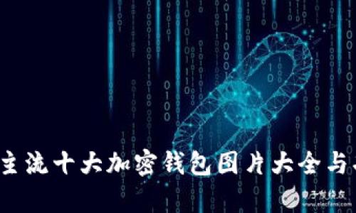 2023年主流十大加密钱包图片大全与功能分析