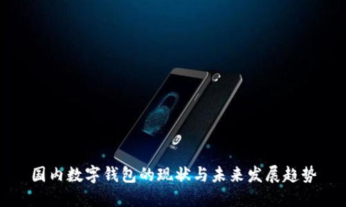 国内数字钱包的现状与未来发展趋势